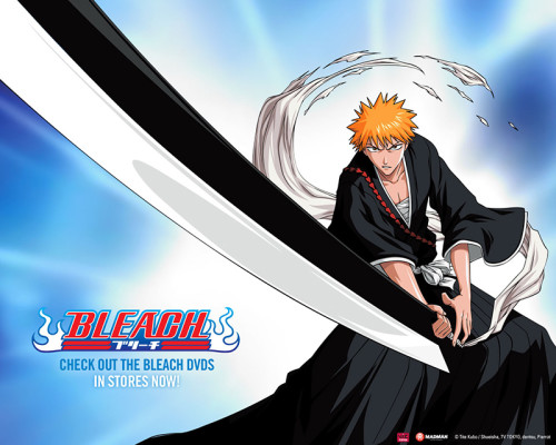 bleach2